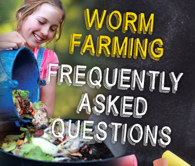 Worm Farming Faqs Tumbleweed Usa